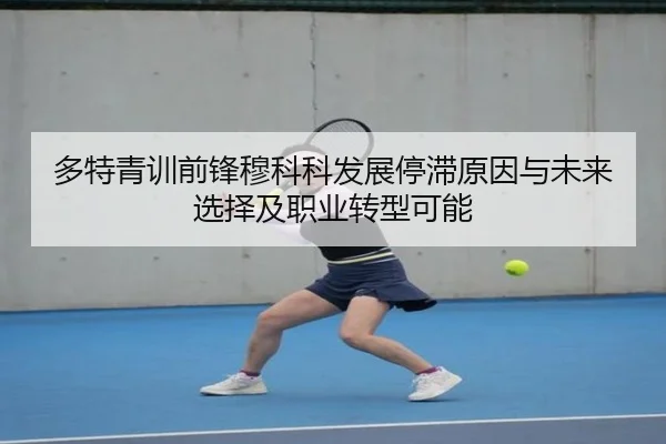 多特青训前锋穆科科发展停滞原因与未来选择及职业转型可能